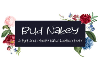 Bud Nakey: The Casual Script Font That Elevates Brand Identity