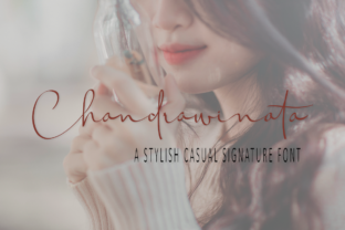 Chandrawinata: A Stylish Script Typeface for Modern Web Design