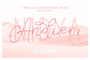Elevate Digital Experiences with the Andien Nidya Duo Typeface