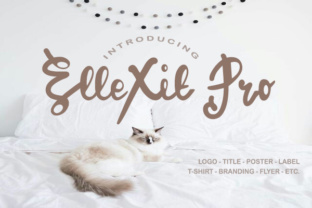 ElleXit Pro: A Modern Script Typeface for Editorial Design