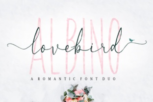 Lovebird: A Romantic Script Typeface for Editorial Design