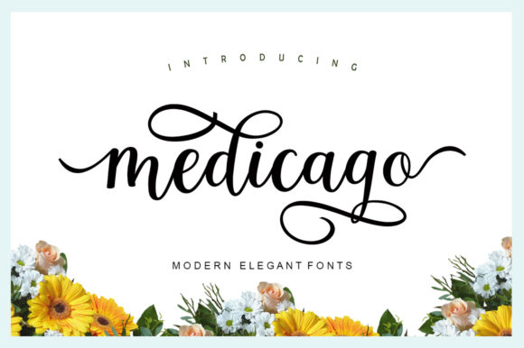 Medicago: The Modern Script Font That Polishes Your Brand Identity