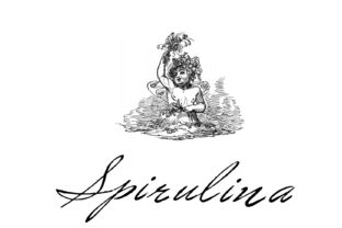 Spirulina: A Script Font for Editorial Design and Content Branding